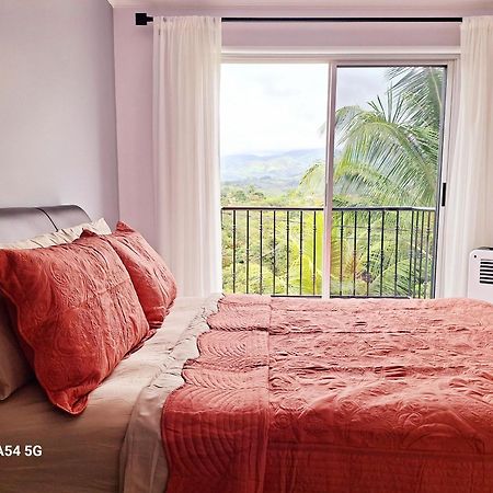 San Isidro De El General Victoria Houseホステル エクステリア 写真